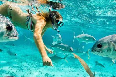 Excursión en tierra: tour guiado de esnórquel en Roatán en Roatán