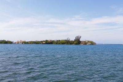 Tours de vacaciones en la playa de Roatán (sin proveedores) 5 hor