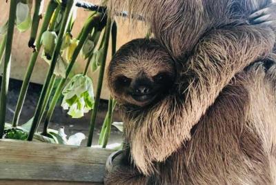 aventura de vida silvestre y playa