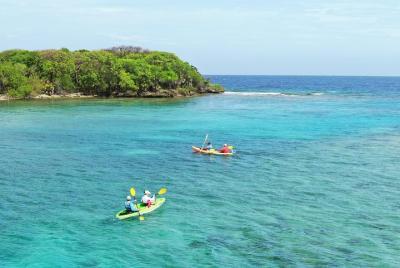 Excursión a la costa de Roatan: Kayak Harbor Adventure y Reef Sno