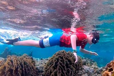 Historia, Baile, Paddle Dory y Snorkeling