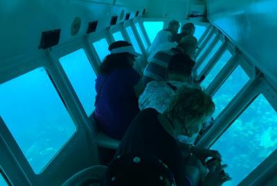 Excursión por la costa: tour de medio día en barco con fondo de c
