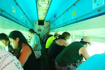 Barco con fondo de cristal, perezoso, Monkey Park, Fábrica de cho