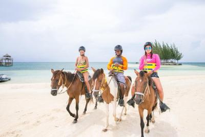 Tour de estilo libre con refrigerios GRATIS