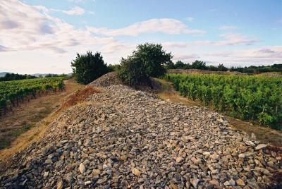 Tour de vino Tokaj personalizado de día completo
