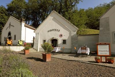 Dereszla privada degustación de vinos y tapas locales en Tokaj