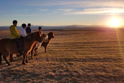 Paseos a caballo en los prados islandeses con vistas a la montaña