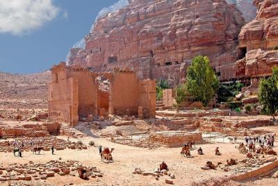 Excursión en tierra privada a Petra desde el puerto de cruceros d