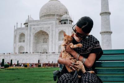 Excursión de medio día a Agra por el Taj Mahal y el Fuerte de Agr