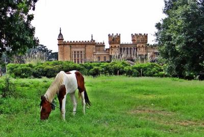 Bangalore - Tour privado de día completo