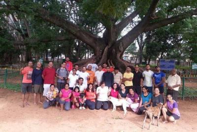 Un sendero por los parques de Bangalore Un sendero por los parques de Bangalore