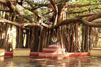 180 ° Tour de arte y arquitectura de Chennai