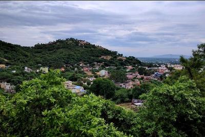 Tour de peregrinación sagrada a Thiruthani desde Chennai