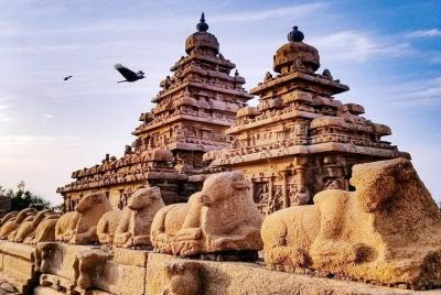 Un extraordinario - Tour de monumentos de la UNESCO a Mahabalipur
