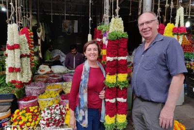 Lo mejor del sur de la India en 15 días con guía, hoteles y autom