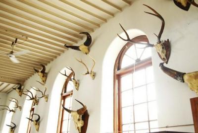 Visite el Museo del Bosque Gass, el Museo de Insectos TNAU y el Jardín Botánico en Coimbatore Visite el Museo del Bosque Gass, el Museo de Insectos TNAU y el Jardín Botánico en Coimbatore
