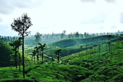 Excursión a la estación de la colina desde Coimbatore a Valparai Excursión a la estación de la colina desde Coimbatore a Valparai