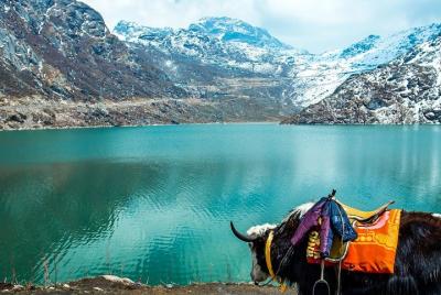 Excursión de excursión al lago Tsomgo y Baba Mandir desde Gangtok Excursión de excursión al lago Tsomgo y Baba Mandir desde Gangtok