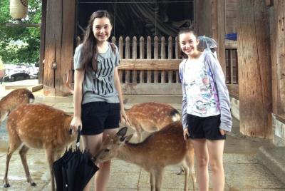 Tour privado de Nara desde Osaka (excursión en tierra disponible  Tour privado de Nara desde Osaka (excursión en tierra disponible