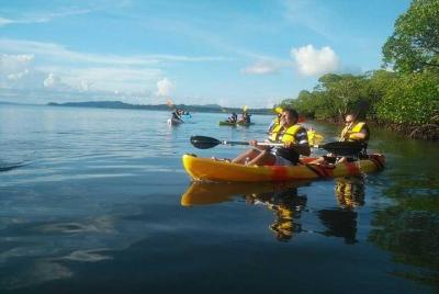 Day Mangroves Kayaking en la isla Havelock (Swaraj Dweep), India