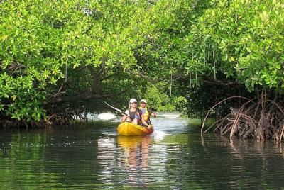 Aventura en kayak por los manglares en Havelock
