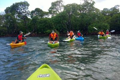 Kayak nocturno de bioluminiscencia en la isla Havelock