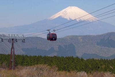 Hakone emocionante - Tour de un día desde Tokio