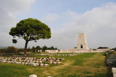 Tour combinado de Troy y Gallipoli desde Canakkale con traslado a