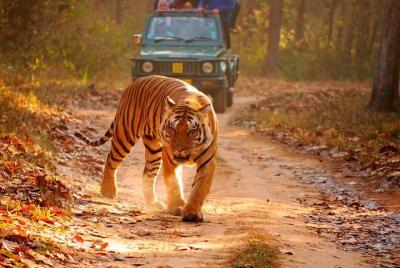 Explore la belleza de Jaipur y Ranthambore: recorrido de varios d