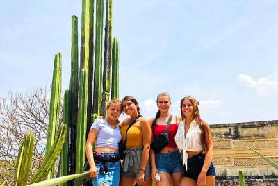 Ruta Magica Ruta Magica