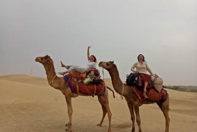 Desierto salvaje Safari nocturno