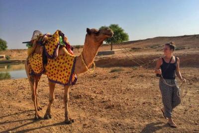 Full-Day Small-Group Camel Safari en Jaisalmer