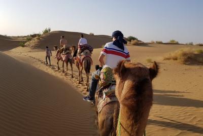 Un safari nocturno en el auténtico desierto