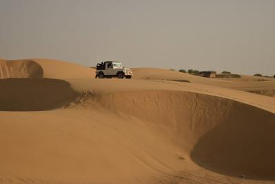 Experiencia completa en el desierto: Jeep Safari, cena, programas