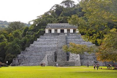 Tour a Palenque Tour a Palenque