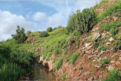 Visita a Rao Jodha Desert Rock Park, Jodhpur