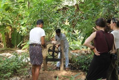 El tesoro de la naturaleza de Nileshwar: una experiencia en el pueblo Tyndis El tesoro de la naturaleza de Nileshwar: una experiencia en el pueblo Tyndis