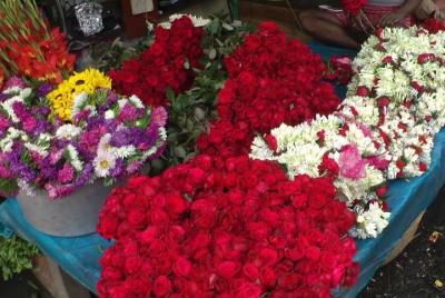 Tour matutino de Calcuta con el mercado de las flores.