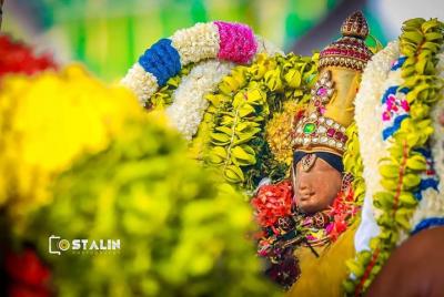 Excursión Agrícola en Madurai Excursión Agrícola en Madurai