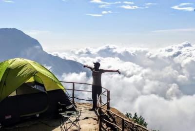 Ooty y wayanad trips