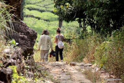 Medio día de trekking en Letchmi Hills en Munnar Medio día de trekking en Letchmi Hills en Munnar