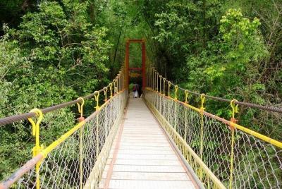 Excursión de un día a Coorg desde Mysore