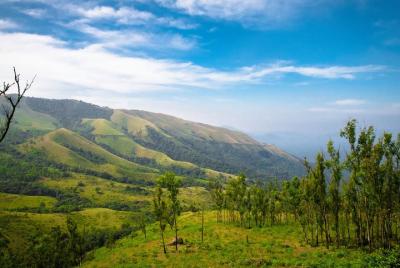 Excursión de un día a Chikmagalur (visita guiada en automóvil des