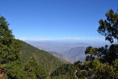 Nainital Nature Trekking Experience (4 horas de experiencia guiada) Nainital Nature Trekking Experience (4 horas de experiencia guiada)