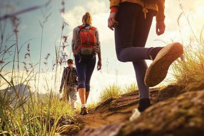 Medio día Top Valley trekking en Munnar