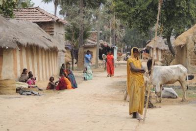Paseo por la aldea tribal todo incluido con visita al proyecto Taragram de Orchha Paseo por la aldea tribal todo incluido con visita al proyecto Taragram de Orchha
