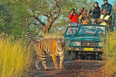 Explore la vida salvaje-Ranthambore Canter Safari-Indian National