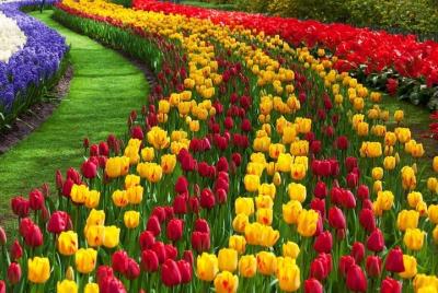 Tesoro de jardines Tesoro de jardines