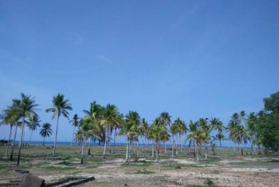 Fireflies Santuary & Penarik Fishing Village desde Kuala Terengga