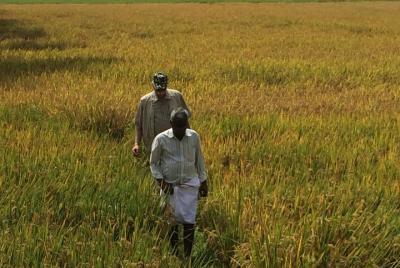 Granjas y paseos - Paseo por el pueblo por la mañana / tarde con 